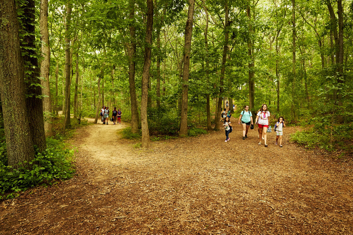 Usdan Summer Camp for the Arts 140-acre wooded campus