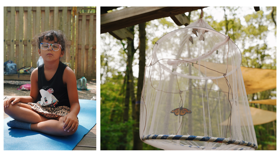Usdan Summer Camp for the Arts yoga platform butterflies