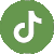 TikTok Logo