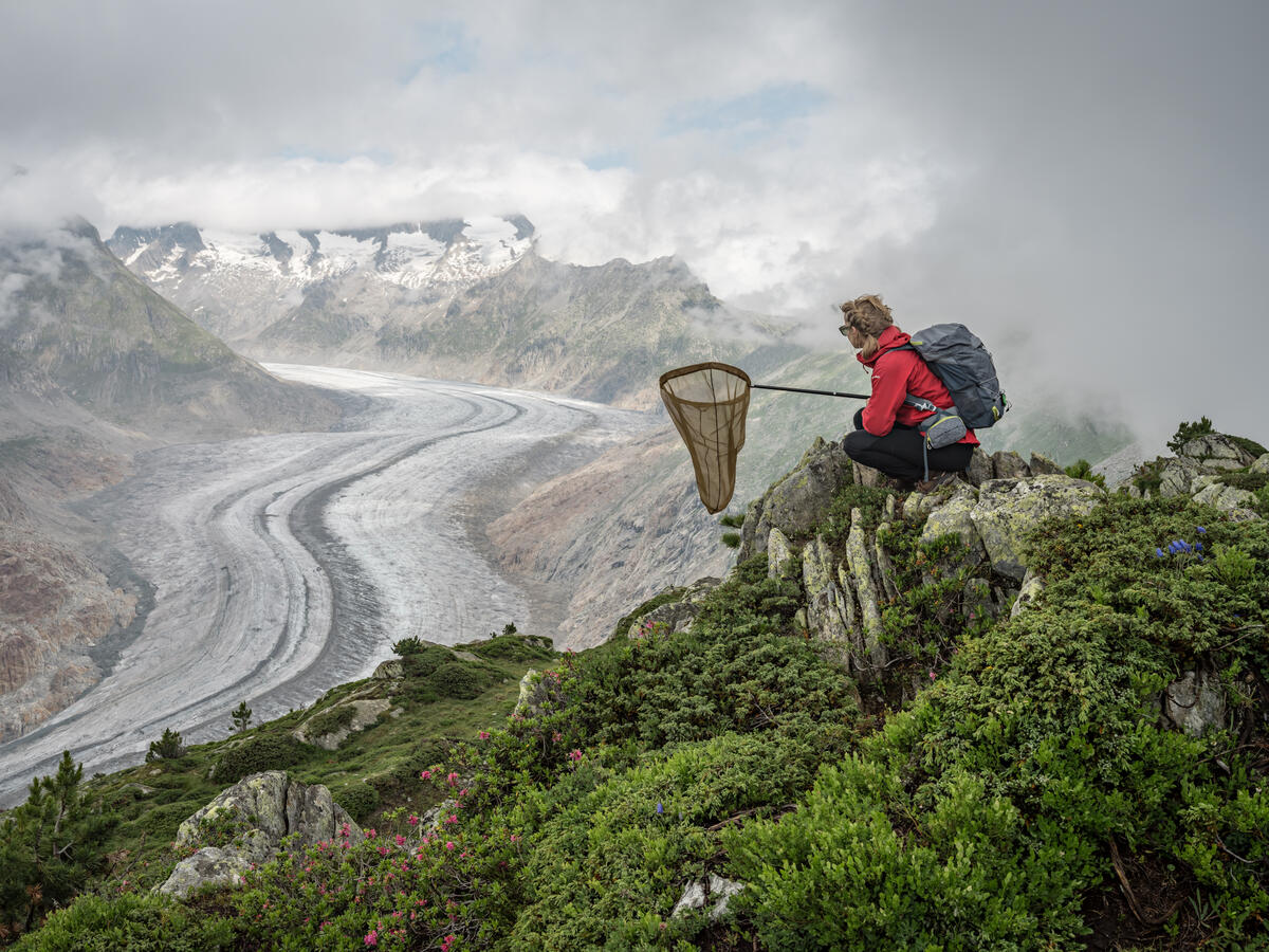 Fine arts photographer & Usdan alum Lucas Foglia’s “Constant Bloom”