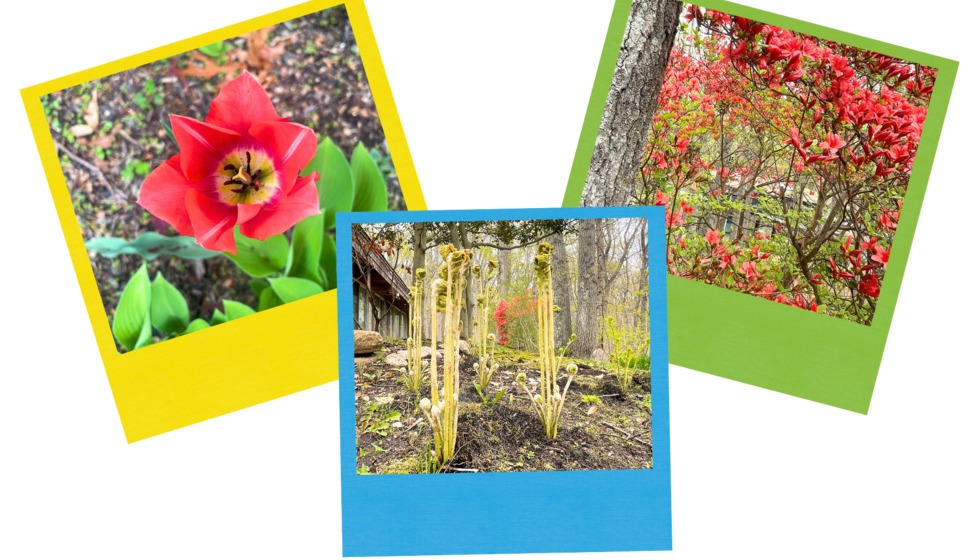 Springtime at Usdan
