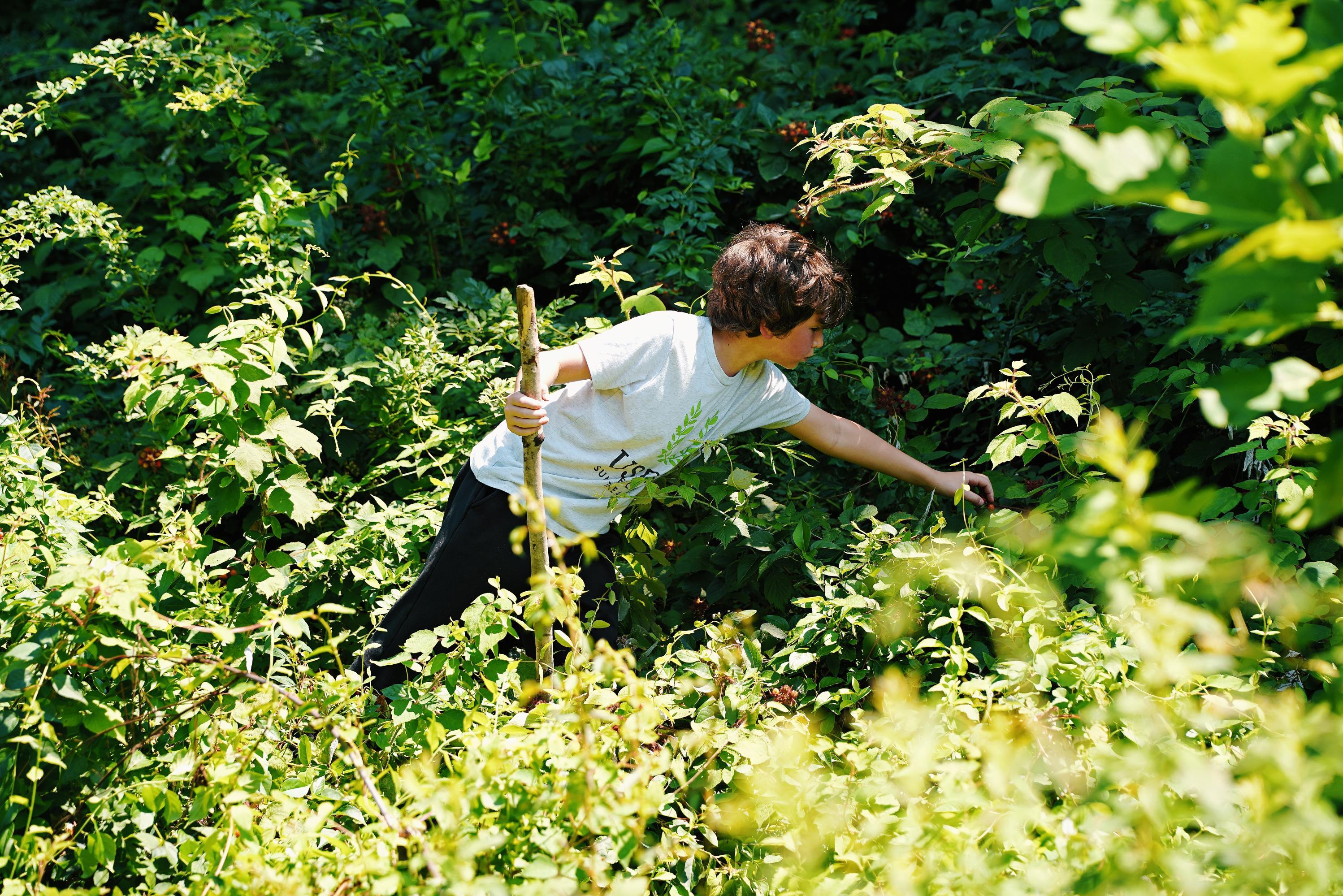 Nature student in the woods, 2026