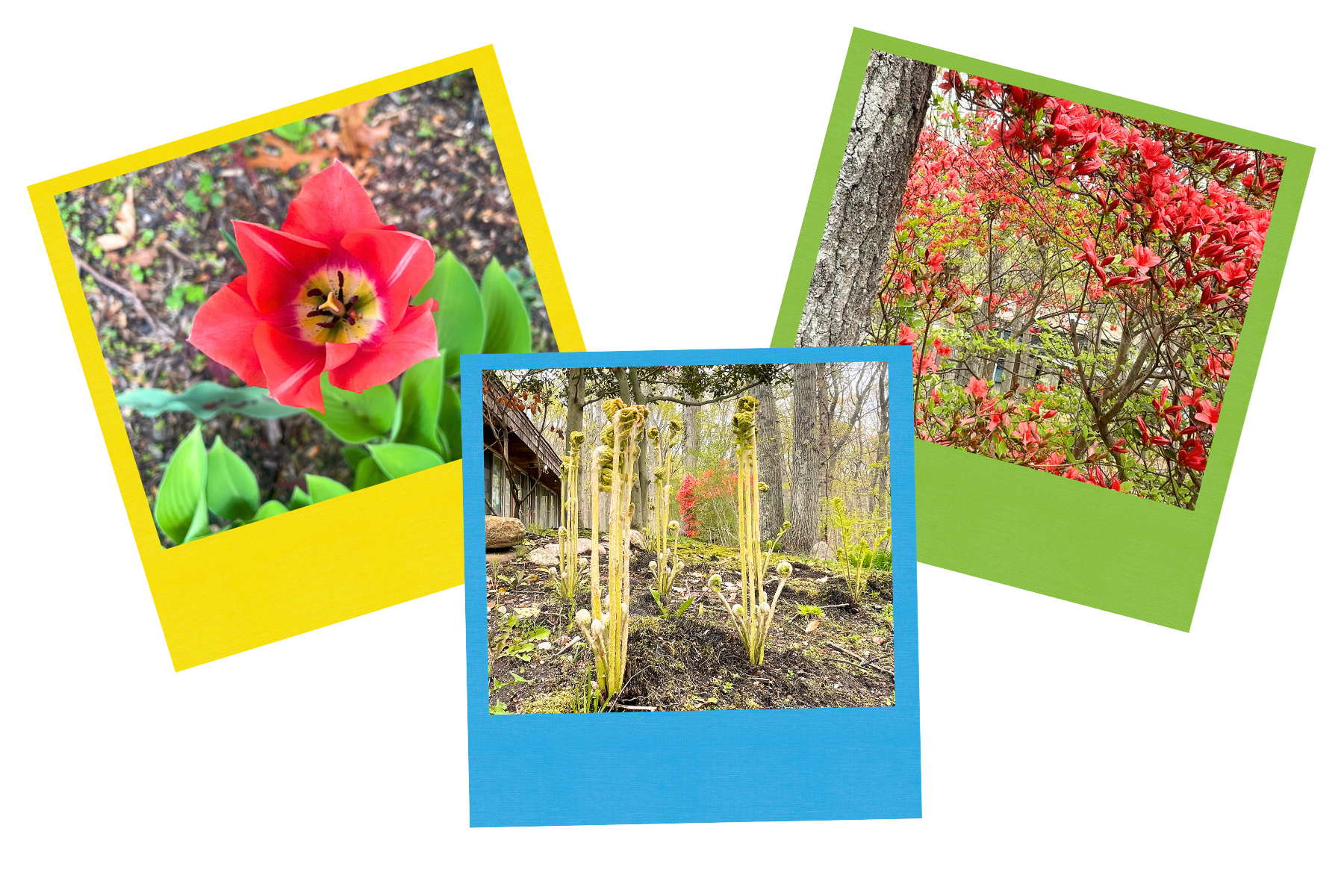 Springtime at Usdan