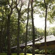 Usdan Summer Camp for the Arts