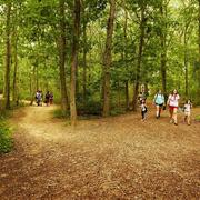 Usdan Summer Camp for the Arts