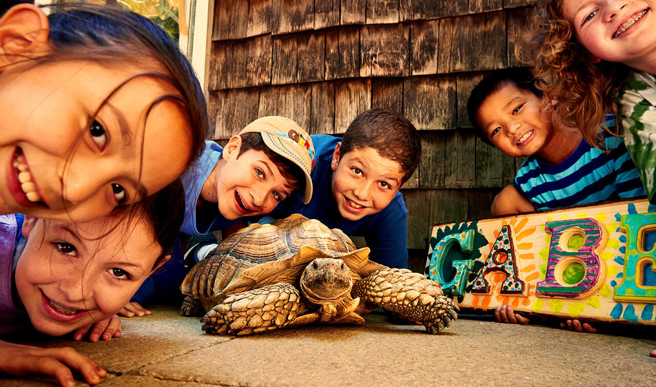 Smiling nature camp students surrounded by a tortoise