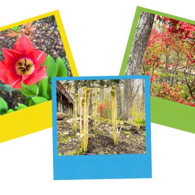 Springtime at Usdan
