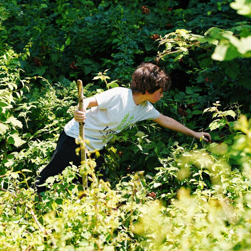 Nature student in the woods, 2026
